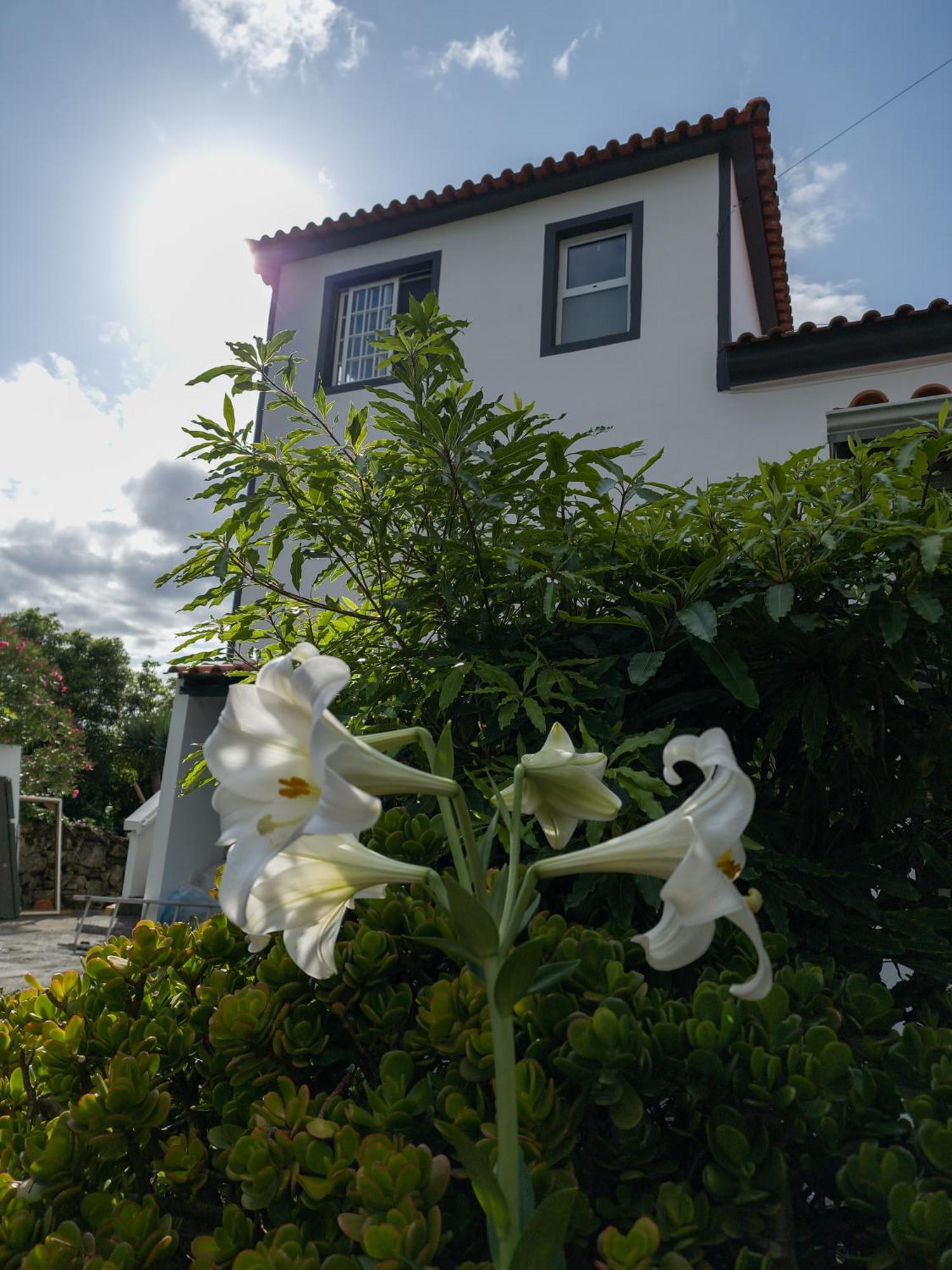 Loving Strangers Hostel Мадалена Экстерьер фото